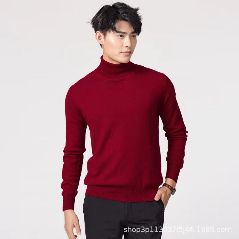 Classic Simple Turtleneck Sweater
