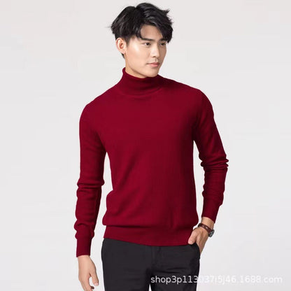 Classic Simple Turtleneck Sweater